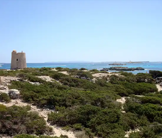 Ses Salines