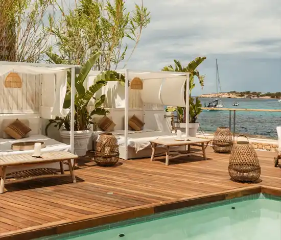 Monkey Ibiza